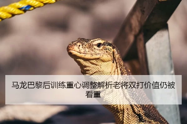 马龙巴黎后训练重心调整解析老将双打价值仍被看重