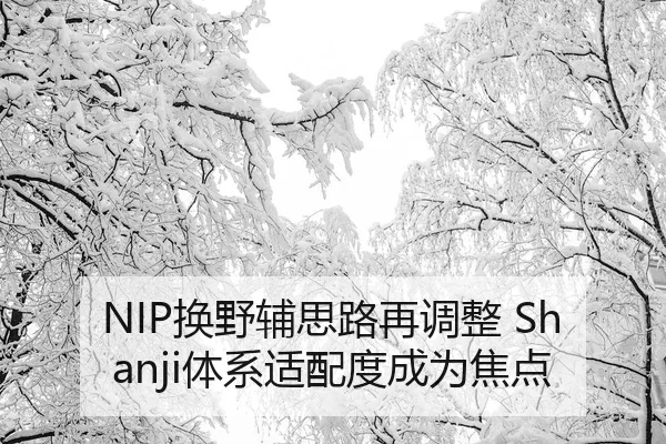 NIP换野辅思路再调整 Shanji体系适配度成为焦点