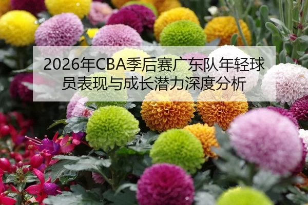 2026年CBA季后赛广东队年轻球员表现与成长潜力深度分析