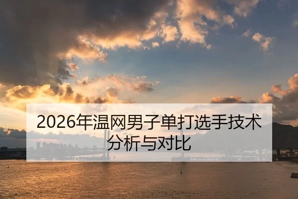 2026年温网男子单打选手技术分析与对比