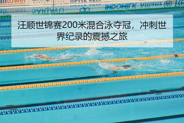wang-shun-shi-jin-sai-mi-hun-he-yong-duo-guan-chong-ci-shi-jie-ji-lu-de-zhen-han-zhi-lv-2-983.jpg