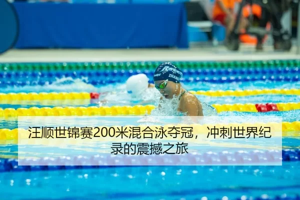 wang-shun-shi-jin-sai-mi-hun-he-yong-duo-guan-chong-ci-shi-jie-ji-lu-de-zhen-han-zhi-lv-3-436.jpg