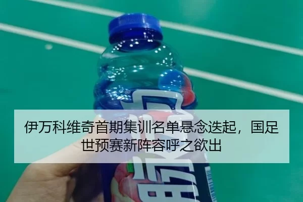 伊万科维奇首期集训名单悬念迭起，国足世预赛新阵容呼之欲出